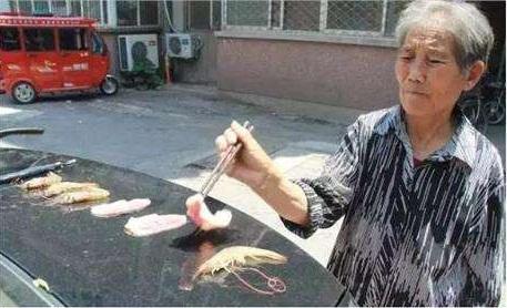 可為蓄電池充電/調節車內溫度 太陽能天窗你考慮么？